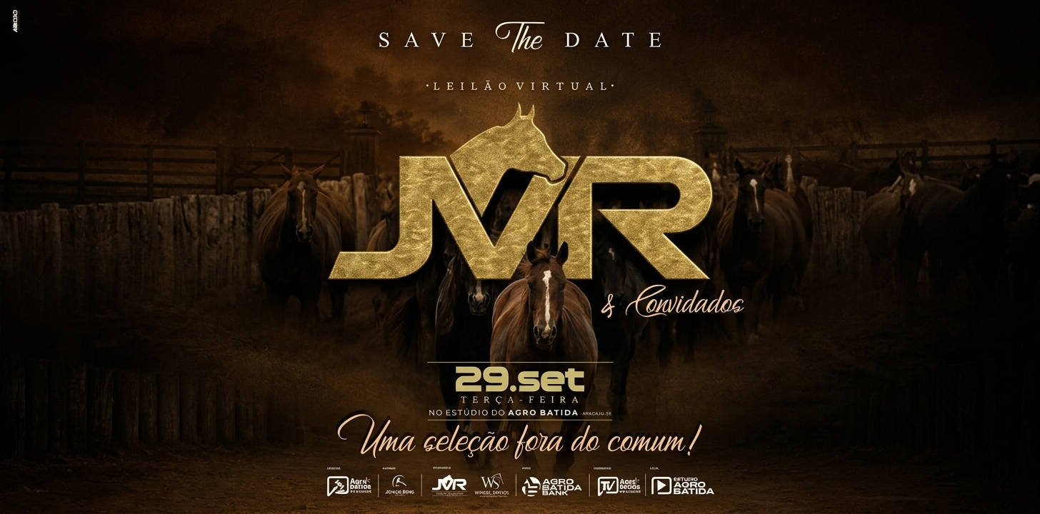 JVR LEILÃO VIRTUAL 2026