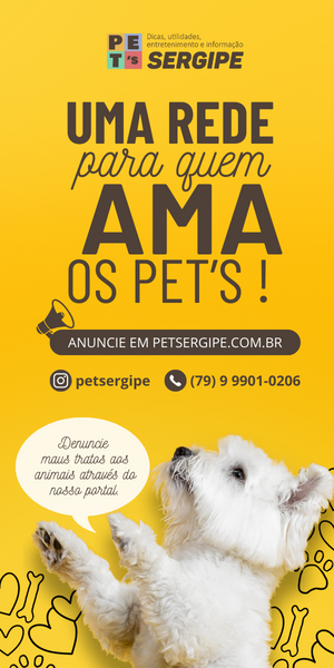 PET SERGIPE - 2025