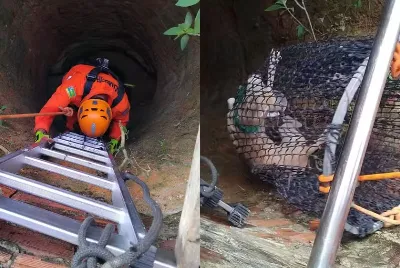 Cachorro é resgatado após cair em cisterna de sete metros em Lagarto