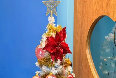 GACC inaugura Árvore de Natal e faz apelo por arrecadação de presentes para acolhidos da instituição