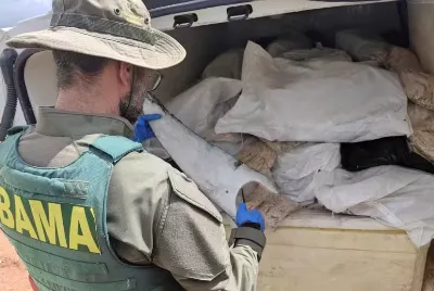 Mais de uma tonelada de barbatanas de tubarão é apreendida em Sergipe