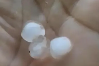 Chuva de granizo e ventos fortes atingem o município de Simão Dias