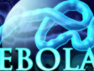 Resultado do 2º exame de ebola deve ser divulgado hoje