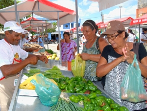 Agricultores de Cristinápolis conquistam novo espaço de comercialização