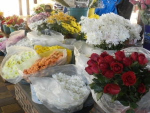 Floristas na expectativa com a chegada da primavera