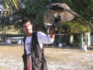 Parque dos Falcões: o refúgio das aves em Sergipe