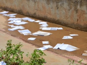 Cópias de documentos do Detran são jogadas na rua