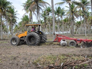 Prefeitura de Pirambu disponibiliza 1600 horas de trator para pequenos produtores