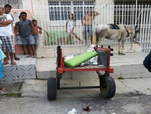 Jovem é morte e outro fica ferido durante cavalgada em Aracaju