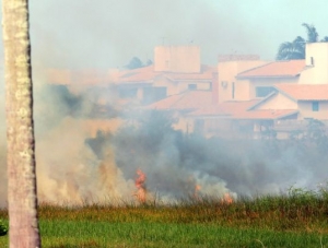 Incêndios em vegetação são constantes no Estado