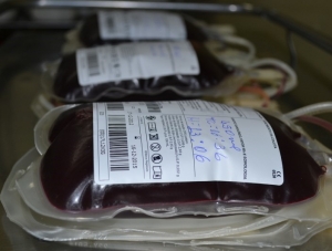 Doação: Hemose convida voluntários para repor estoque de sangue fator Rh positivo e negativo