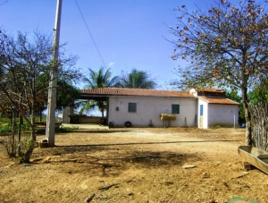 Violência chega a campo e tira o sossego de agricultores