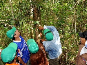 Prefeitura realiza Caminhada Ecológica para marcação do Mastro