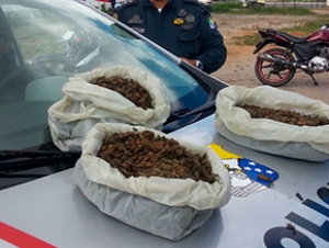 Polícia apreende 5kg de maconha no bairro Horta