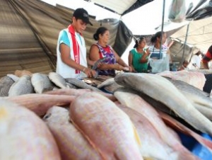 Vigilância Sanitária vai fiscalizar venda de pescados