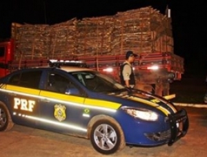 PRF e Polícia Ambiental apreende carga de madeira