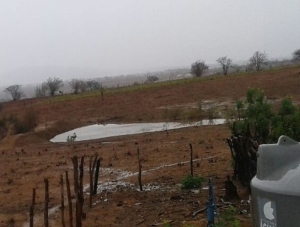 Agricultores festejam chegada da chuva no Sertão de Sergipe