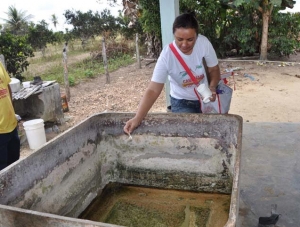 Salgado: Agentes de saúde realizam ações em combate ao mosquito Aedes Aegypti