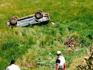 Lavrador morre atropelado em rodovia estadual