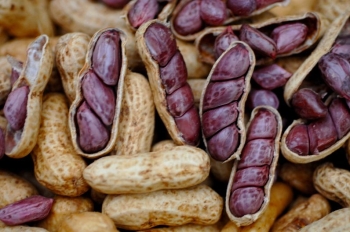 Assim como o amendoim cozido, muito saboreado e consumido pelos sergipanos (Foto: Divulgação)