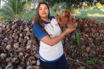 Aluna realizando a coleta da fibra de coco — Foto: Arquivo pessoal