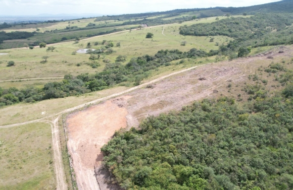 Fiscalização da Adema constata retirada irregular de vegetação em Itabaiana