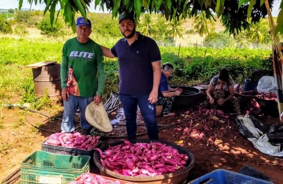 Batata-doce é alternativa de renda para agricultores atendidos por irrigação do Governo do Estado