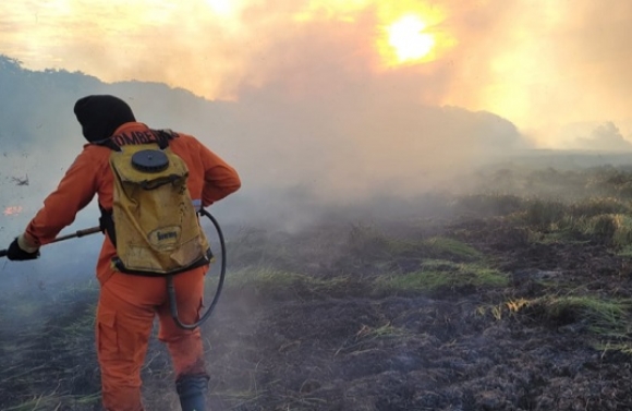 Bombeiros controlam incêndio em vegetação próxima à UFS