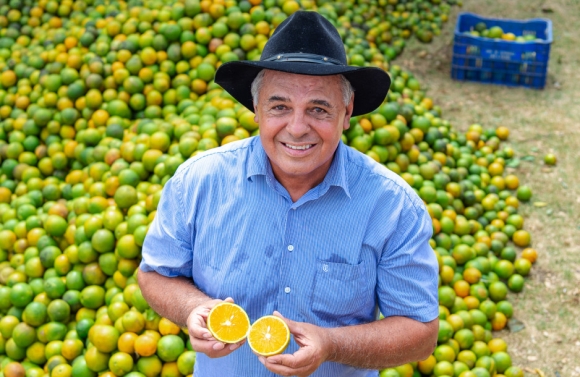 Sergipe se destaca como 2º maior fornecedor de laranja para Ceasas do Brasil