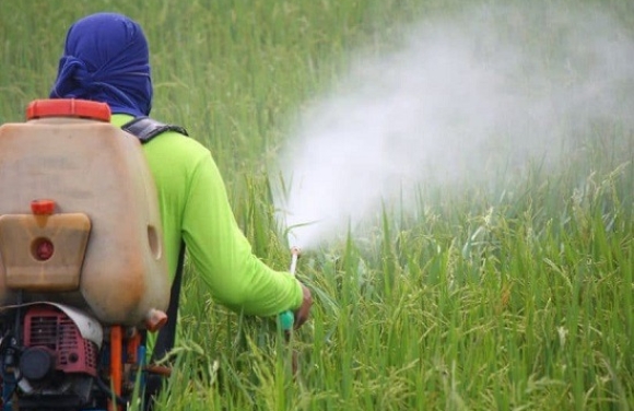 Glória sediará debate sobre comercialização de agrotóxicos