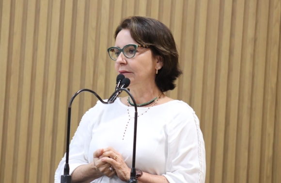 ”Quando não se tem transparência a corrupção fica ainda mais frouxa”, afirma Emília