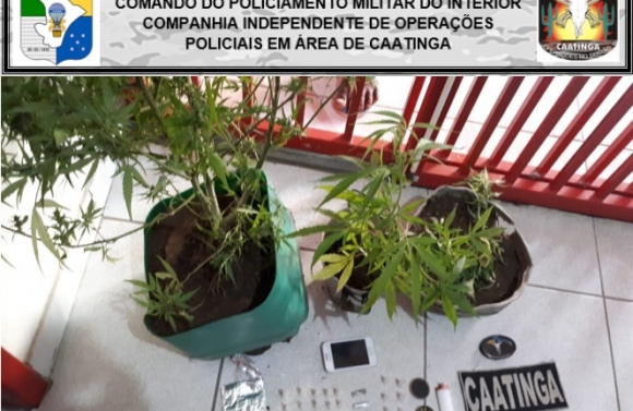 Ciopac prende suspeito de tráfico de drogas na zona rural de Canindé de São Francisco