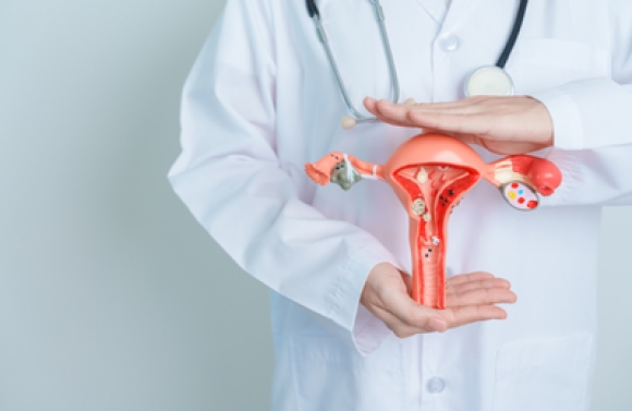 MPSE e MPF recomendam medidas para diagnóstico precoce e tratamento da endometriose profunda em Sergipe