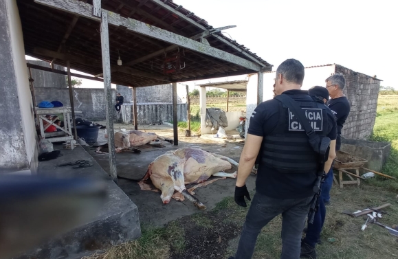 Ação conjunta desativa abatedouro clandestino de gado no município de Propriá