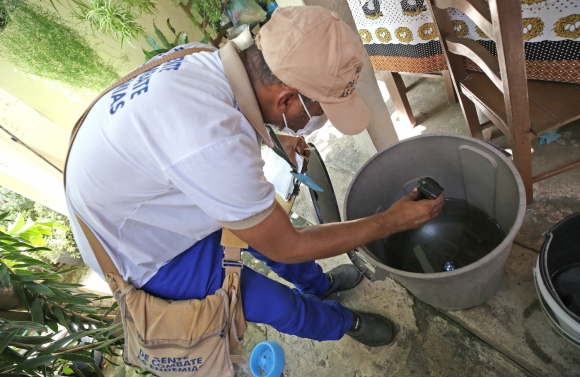 Em Aracaju, 80% dos focos do Aedes aegypti estão em imóveis residenciais