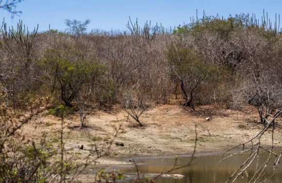 Seca em Sergipe afeta cerca de 51 mil pessoas