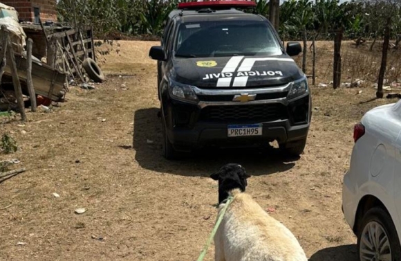 Polícia Civil prende integrantes de associação criminosa envolvida com furtos e receptação de animais semoventes em Amparo de São Francisco