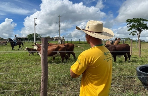 Senar/SE abre inscrições para cursos gratuitos no setor agropecuário