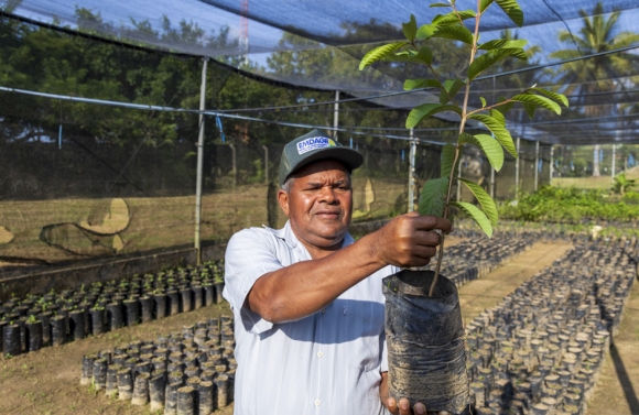 Governo de Sergipe se destaca na produção e distribuição sustentável de mudas