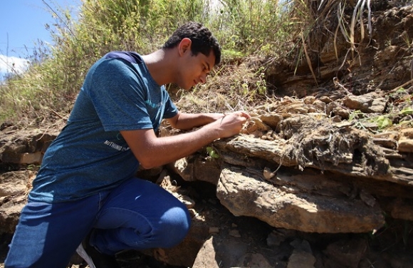 Descoberta da UFS coloca Sergipe no mapa mundial dos dinossauros