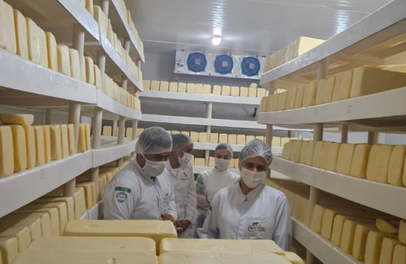 Produção de queijo em Sergipe alcança novo patamar com Selo de Inspeção Estadual