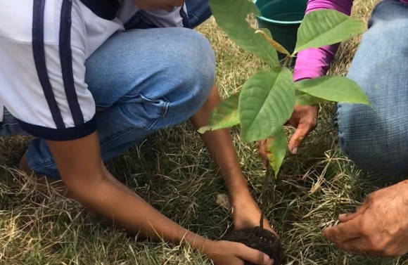 Telha participa de Mutirão Nacional de Plantio de Mudas de Árvores