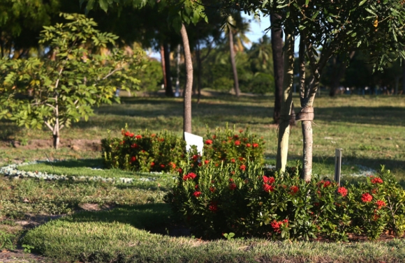 Primavera em Sergipe marcará a chegada de temperaturas mais elevadas e estiagem