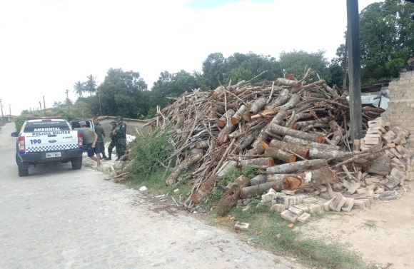 Polícia Militar desativa depósito ilegal de madeira em Itabaiana