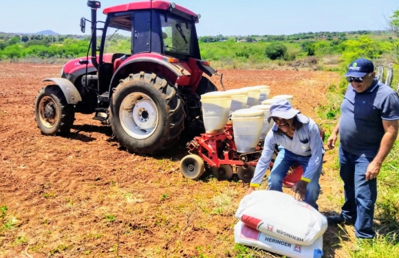 Produtores da irrigação pública estadual vão produzir sementes no alto sertão