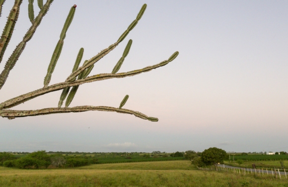 Semana terá temperatura de até 35º no sertão sergipano e céu claro com algumas nuvens em outras regiões