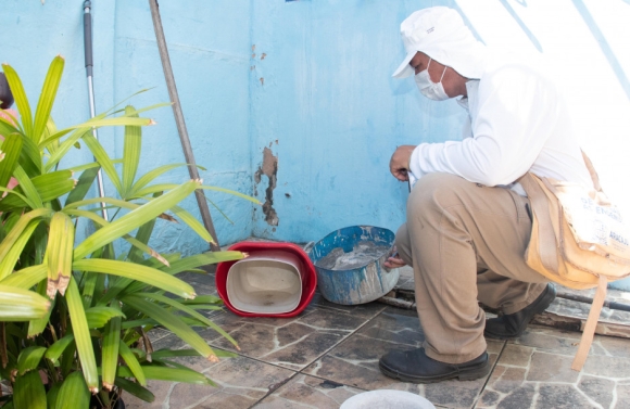 SES divulga último LIRAa do ano e identifica apenas três municípios com alta infestação do Aedes aegypti