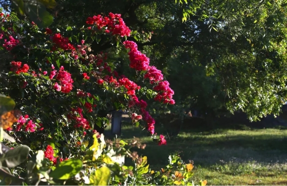 Primavera deve ser de menos chuvas e temperaturas mais altas em Sergipe