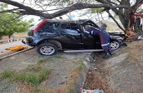 Grande Aracaju: homem morre após colisão com árvore na BR-235